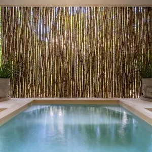 Casa Cenote Private Pool Gated Ferienhaus